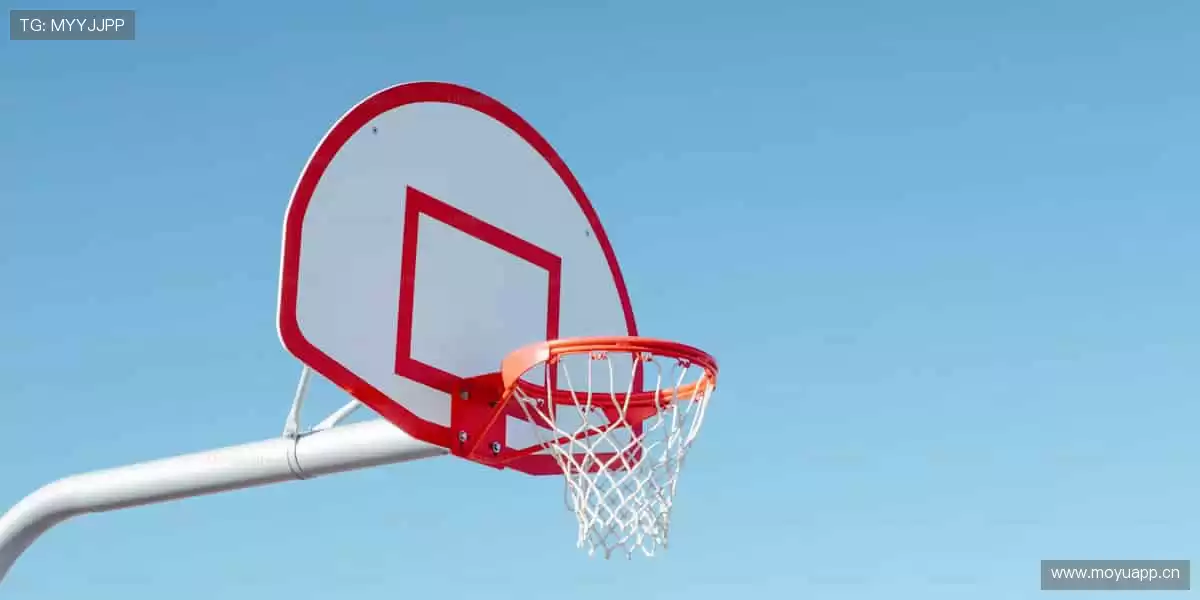 👕限量潮品,实力见证!用细节诠释你对体育的极致追求!